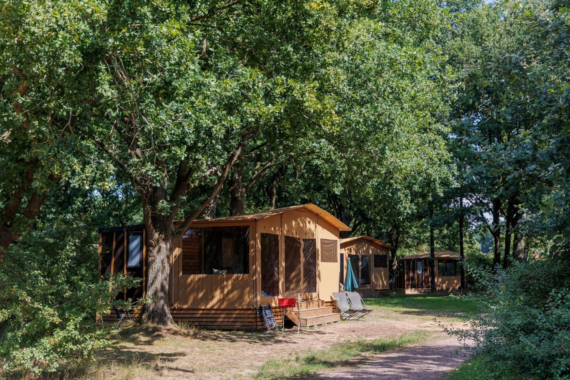 Huttopia De Roos Stegeren Extérieur photo