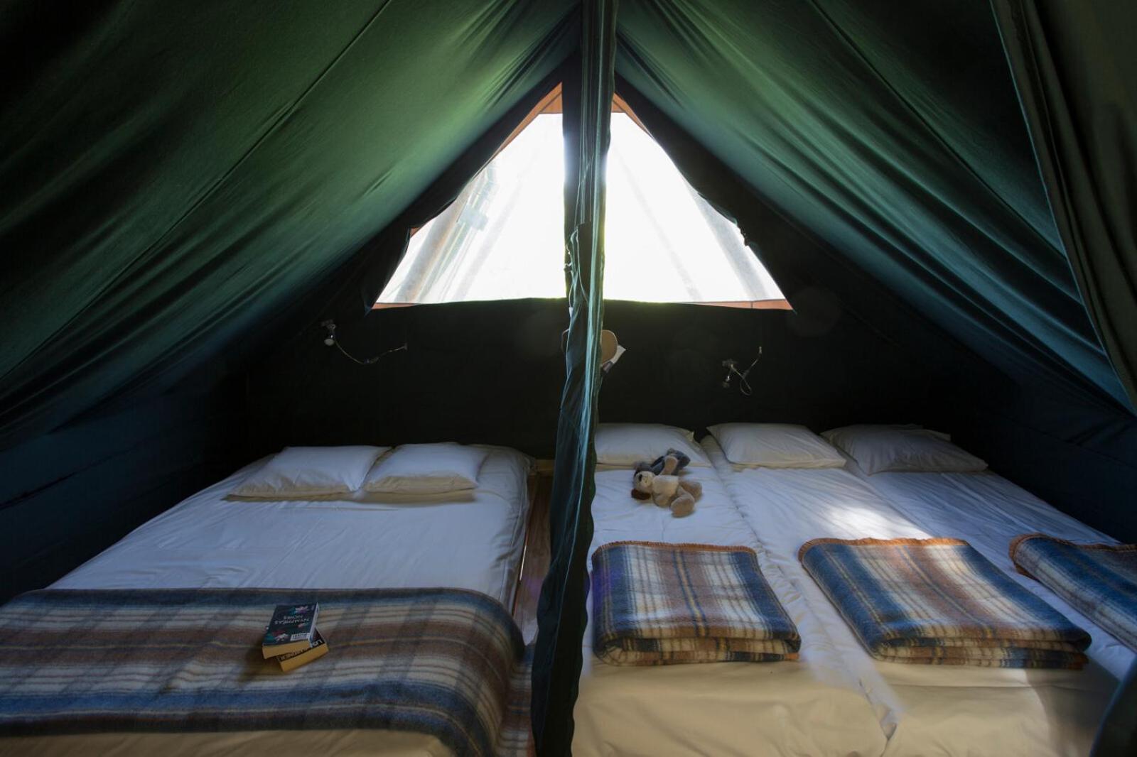 Huttopia De Roos Stegeren Chambre photo